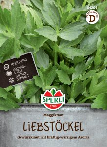 Liebstöckel - Maggikraut