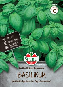 Basilikum - Großer Grüner Genoveser